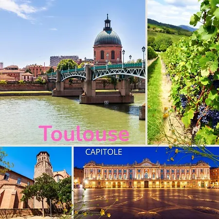 Oda ve Kahvaltı Les Du Pays Toulousain 3*