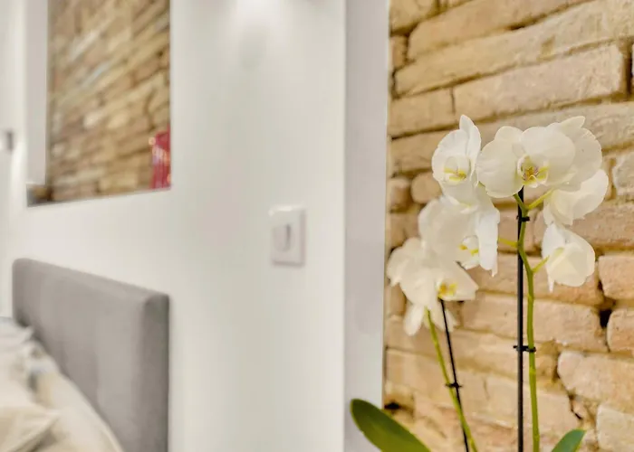 Les Du Pays Toulousain Pechbonnieu